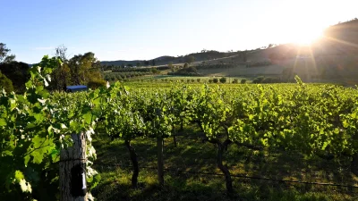 Guided Farm Tour & Tasting Experience